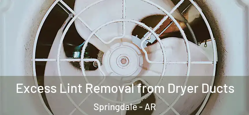Excess Lint Removal from Dryer Ducts Springdale - AR