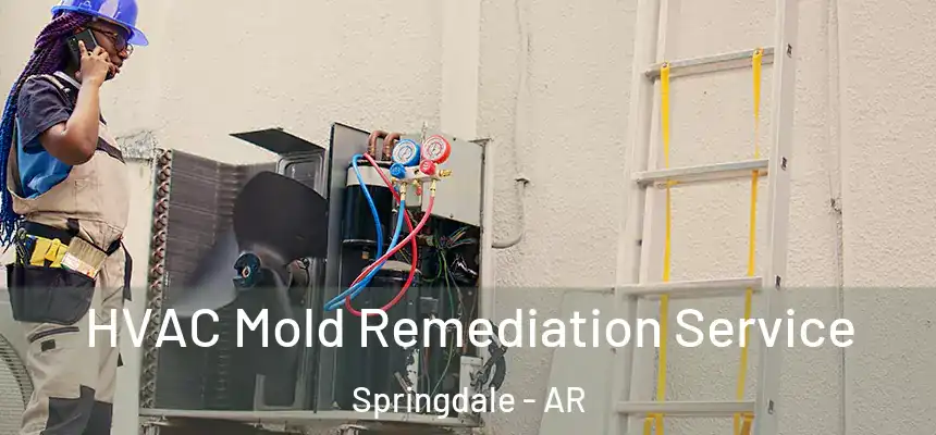  HVAC Mold Remediation Service Springdale - AR