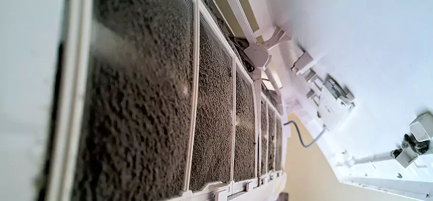 Preventive Air Duct Bacteria Removal in Springdale