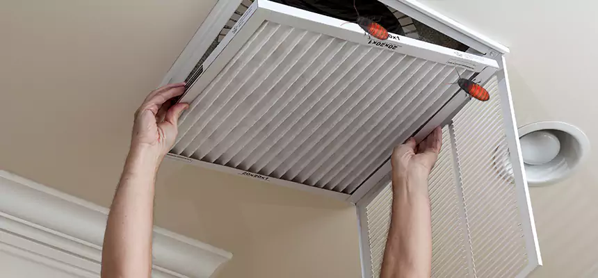 Our Insect Removal from Air Ducts Services in Springdale, AR