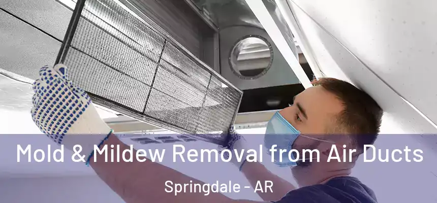  Mold & Mildew Removal from Air Ducts Springdale - AR
