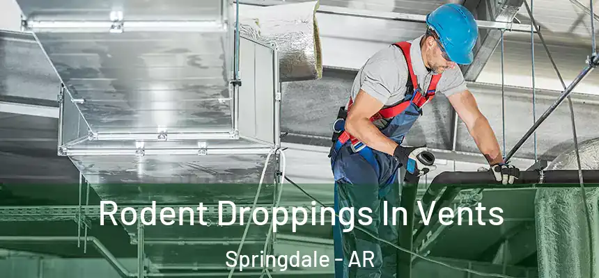  Rodent Droppings In Vents Springdale - AR