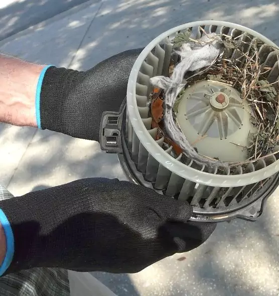 About Air Duct Mice Removal in Springdale, AR