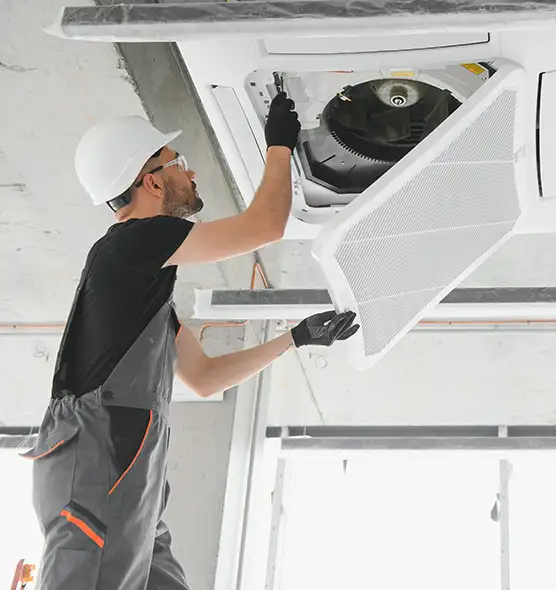 About Air Duct Rodent Removal in Springdale, AR