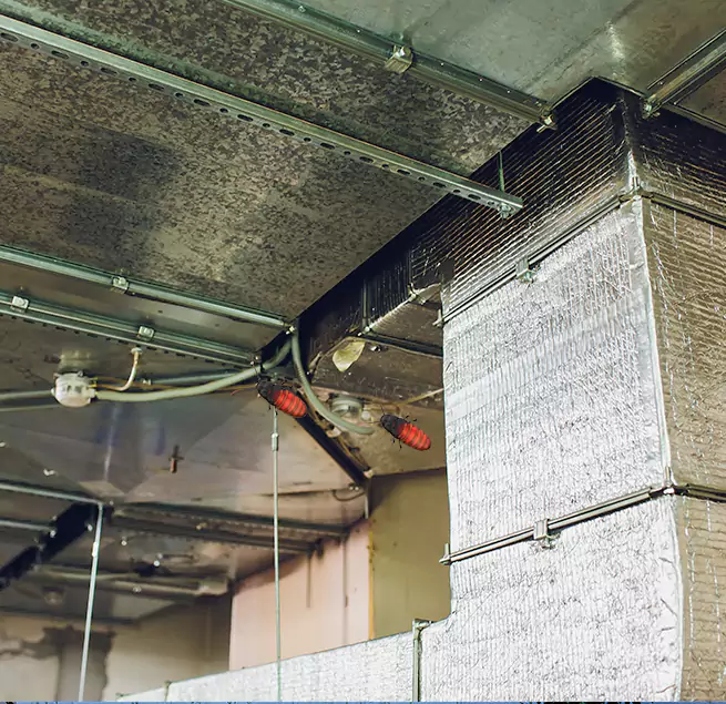 Why Homeowners & Businesses Trust Us in Springdale, AR?