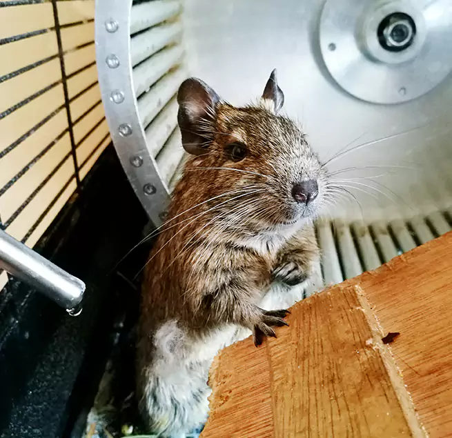 Why Homeowners & Businesses Trust Us Springdale, AR?