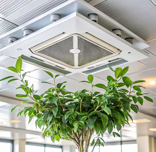 Why Homeowners & Businesses Trust Us in Springdale, AR